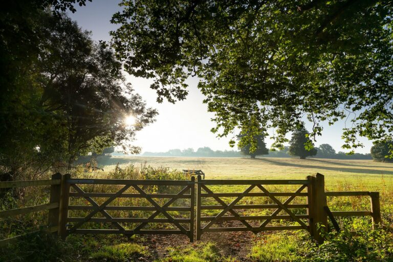 Sunrise at Broadlands