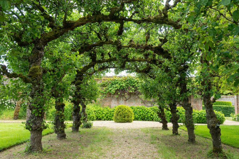 Walled Garden