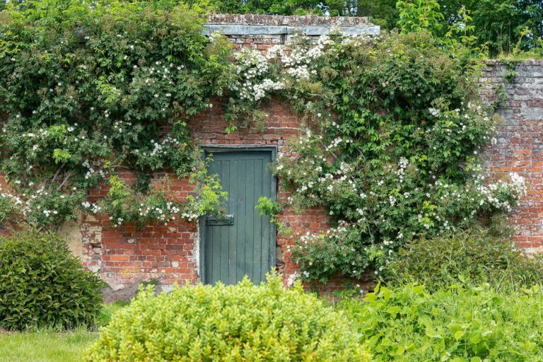Walled Garden