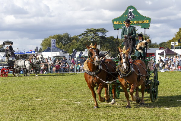 Romsey Show