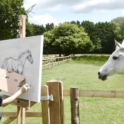Equestrian Drawing Event